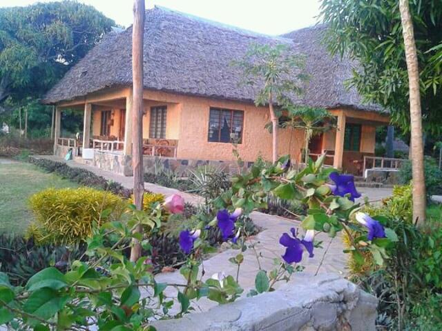 Mango Lodge Msambweni Kisimachande エクステリア 写真