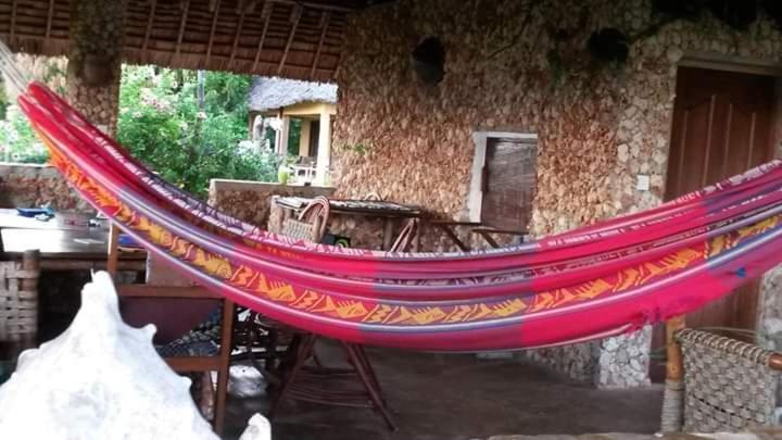 Mango Lodge Msambweni Kisimachande エクステリア 写真